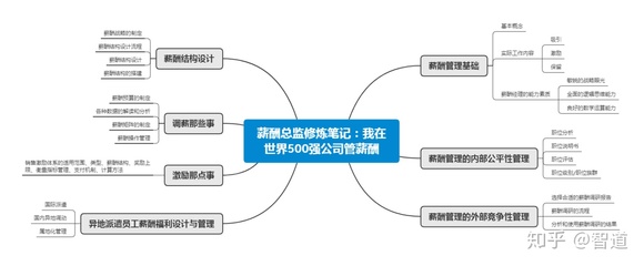 薪酬總監(jiān)修煉筆記 解碼世界500強(qiáng)公司的薪酬管理智慧